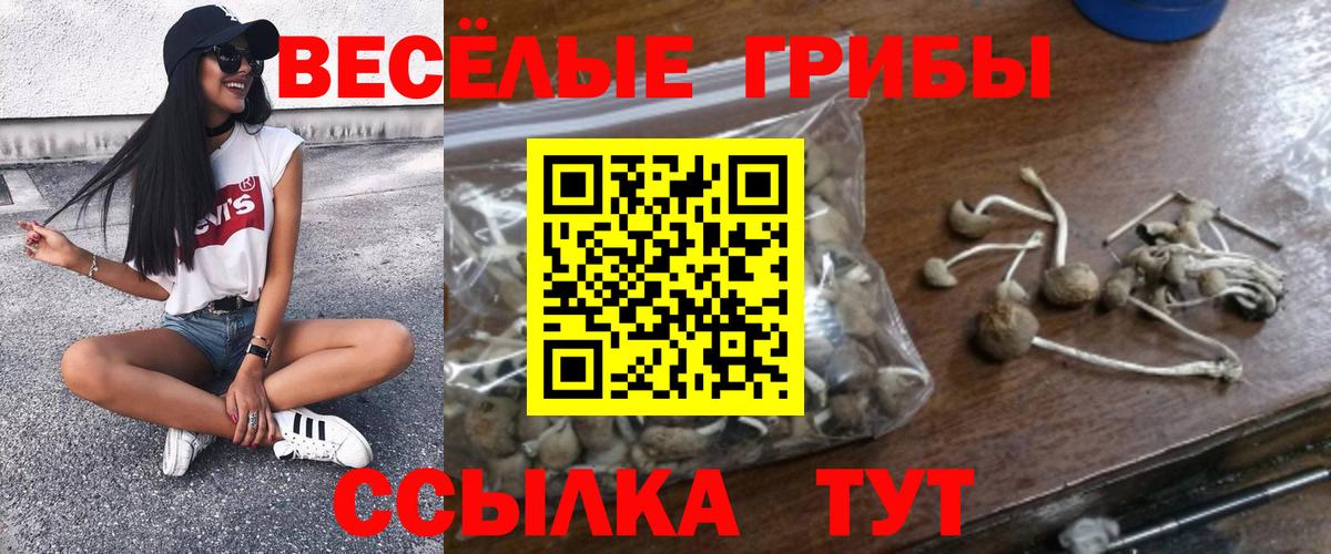 Галлюциногенные грибы мицелий  Вход с VPN  Псилоцибиновые грибы ЛСД  Кувандык 