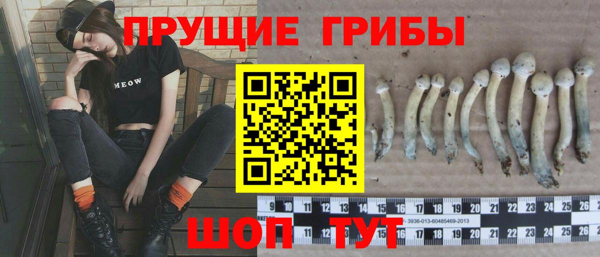 Галлюциногенные грибы Magic Shrooms Кувандык